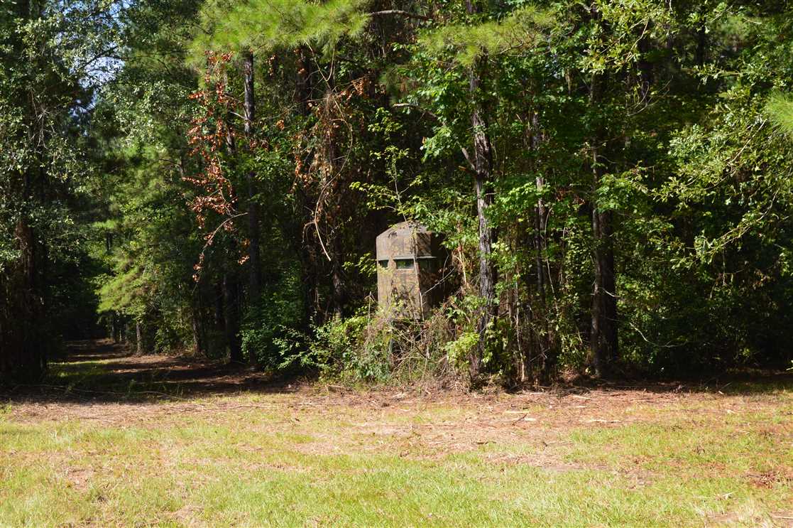 pearl river County, Mississippi property for sale