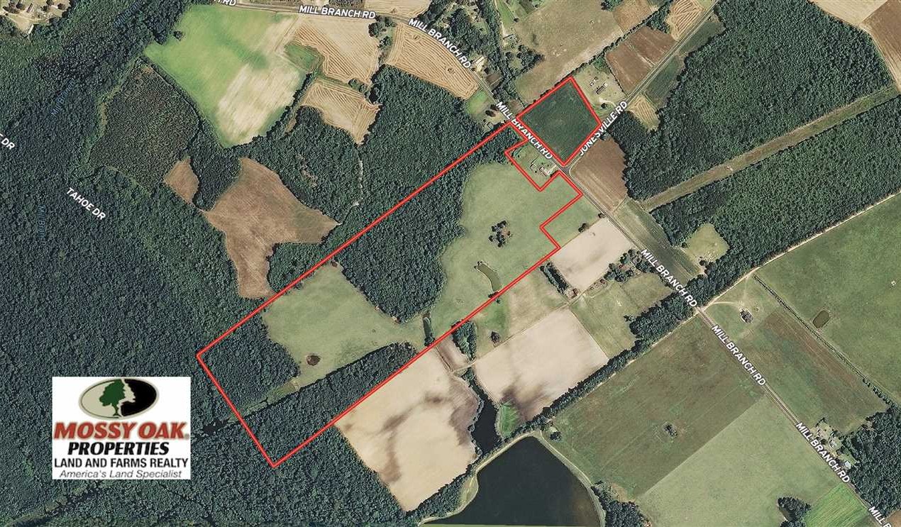 67.95 Acres of Land for Sale in robeson County North Carolina