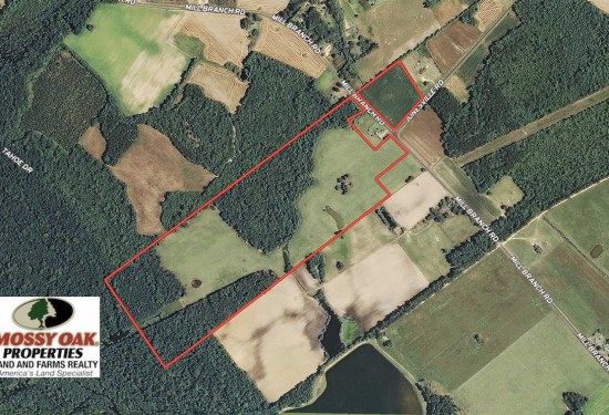 67.95 Acres of Land for Sale in robeson County North Carolina