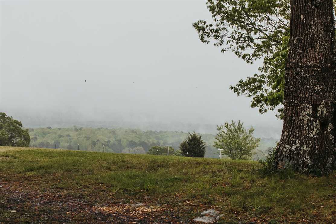 Fully Remodeled in 2012 this 3BR 2BA Home is located high up in the Boston MTNS north of Clinton in Van Buren County Arkansas on scenic HWY 110 . Real estate listing