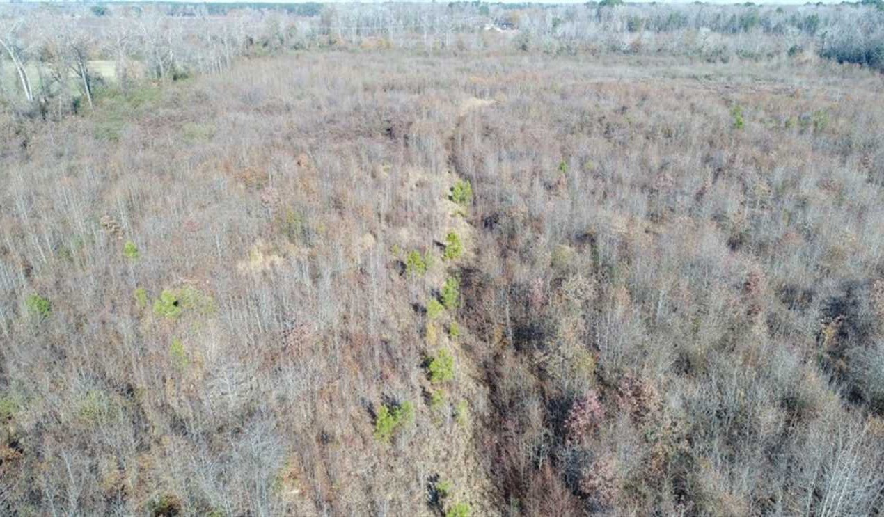 Timberland real estate available to buy