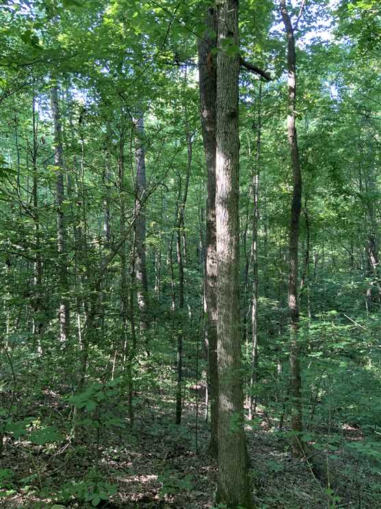 177.08 Acres of Land for sale in benton County, Tennessee