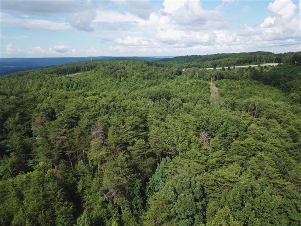 50.4+/-acres Unrestricted beautiful Lake front property wooded rolling to level property. Real estate listing