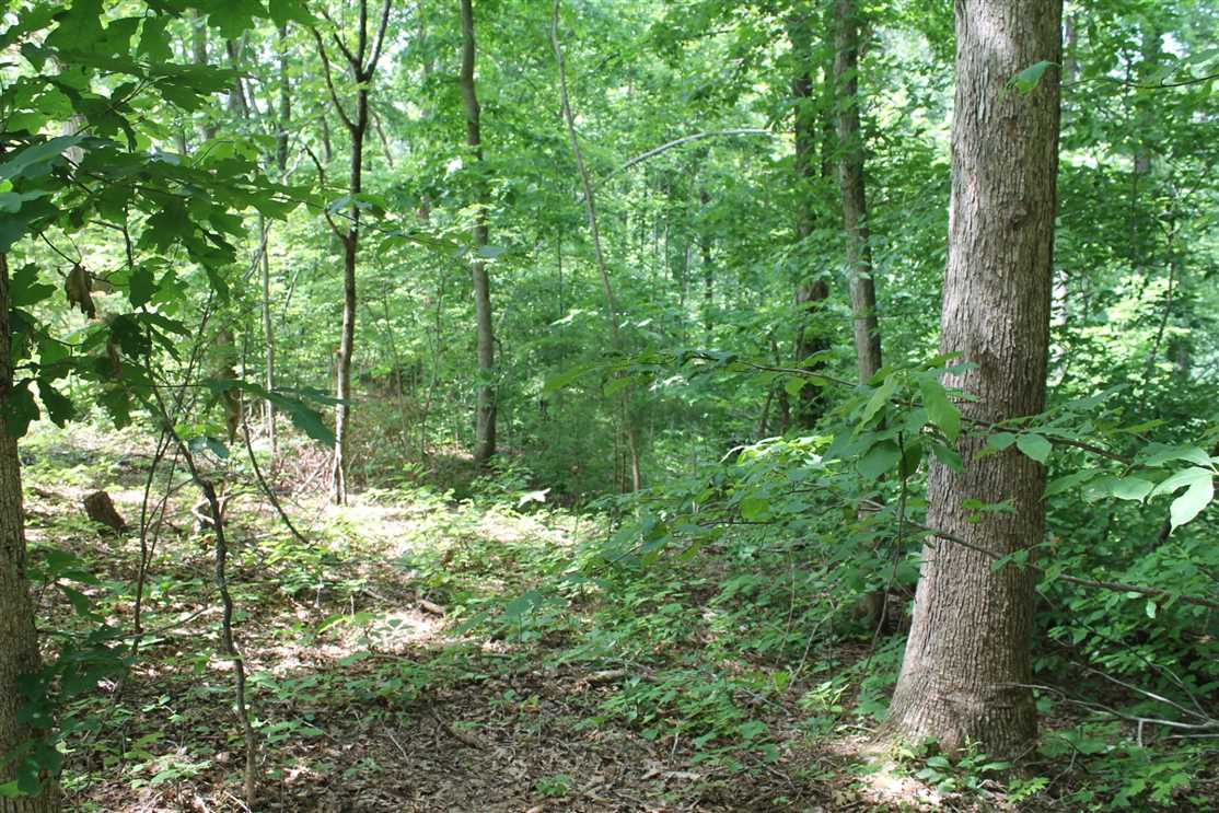 8.07 Acres of Land for Sale in dekalb County Tennessee