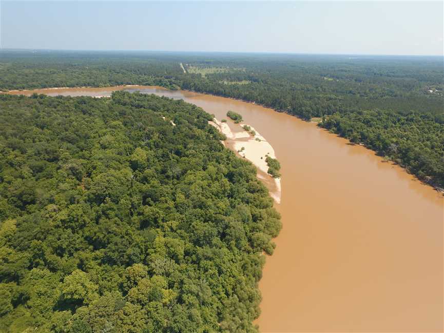 1 Acres of Land for Sale in appling County,