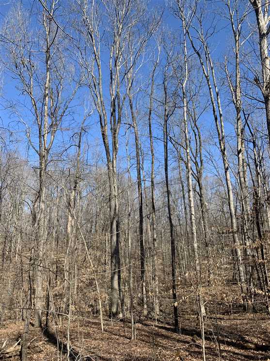 Land for sale at 6910 Long Meadow Lane