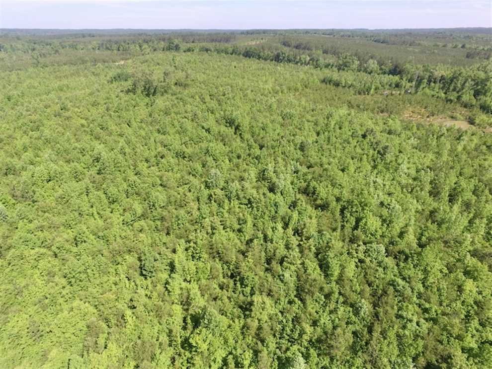 55.68 Acres of Recreational land for sale in Meherrin, lunenburg County, Virginia