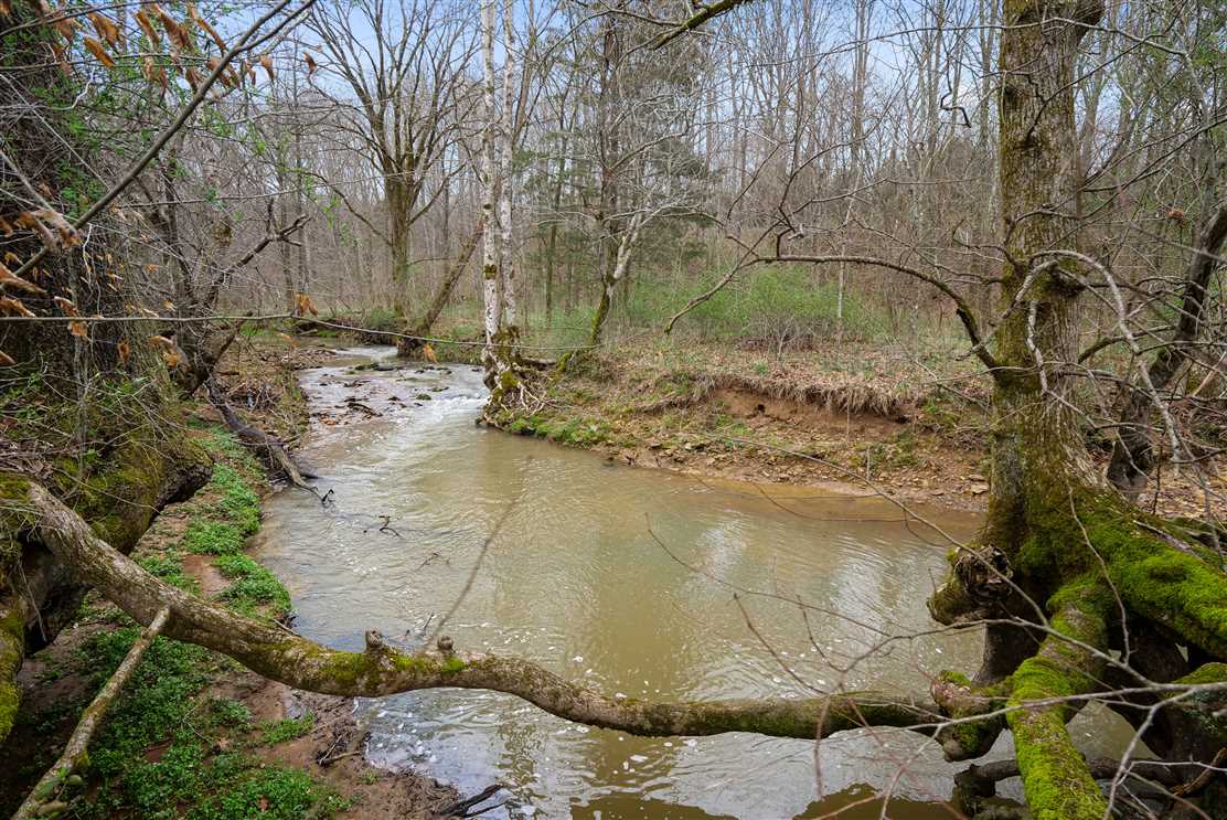 Farmland real estate available to buy