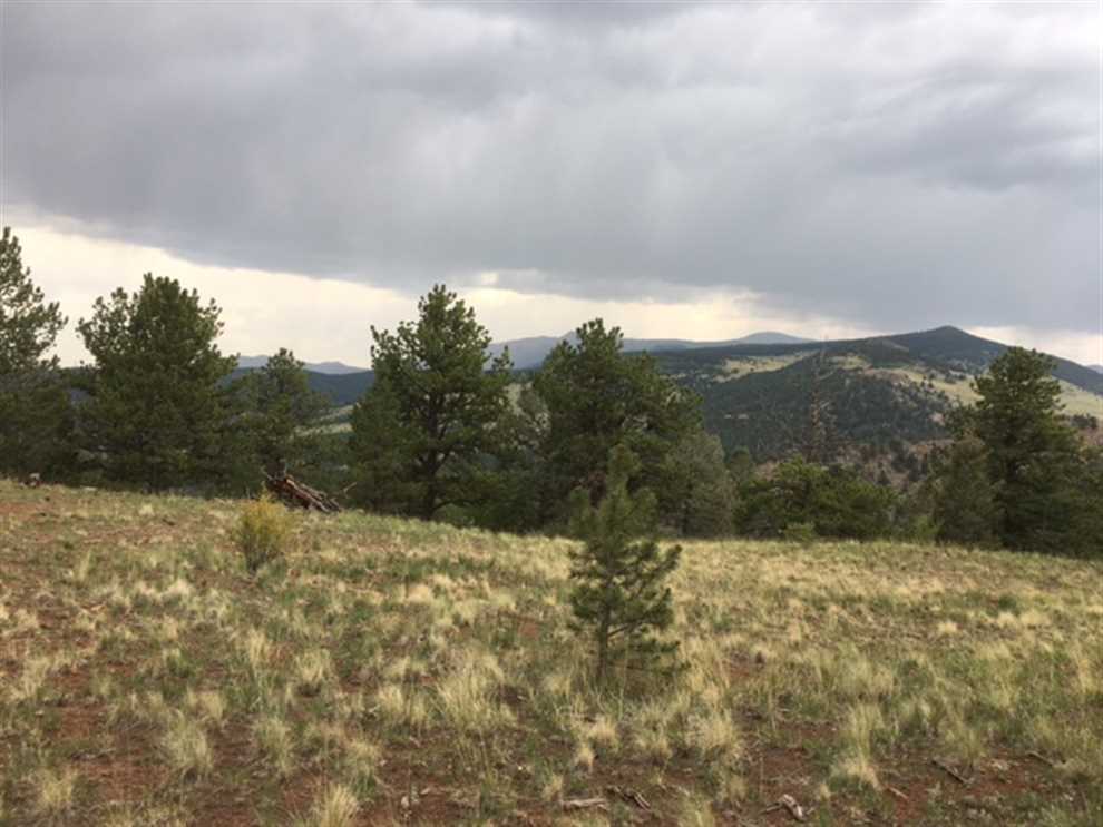 10.27 Acres of Land for sale in teller County, Colorado