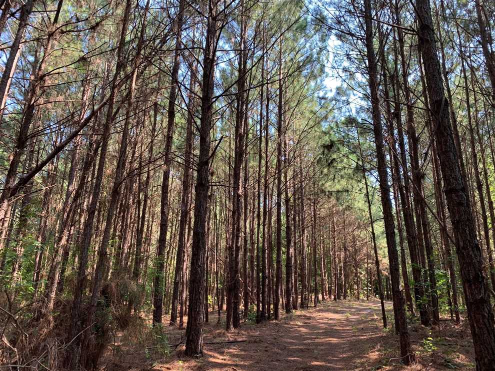 Recreational and   property for sale on The Land Market