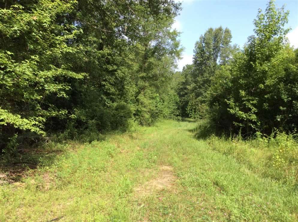 65.5 Acres of Recreational land for sale in Tullos, la salle County, Louisiana