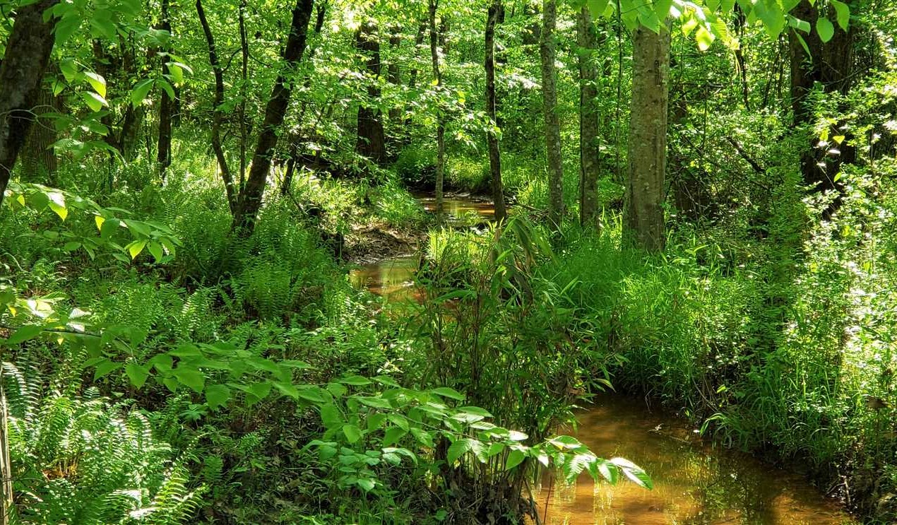 89.5 Acres of Land for sale in york County, South Carolina