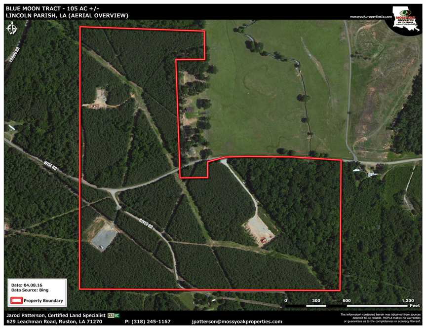 Blue Moon Tract, Lincoln Parish, 105 Acres +/- Real estate listing