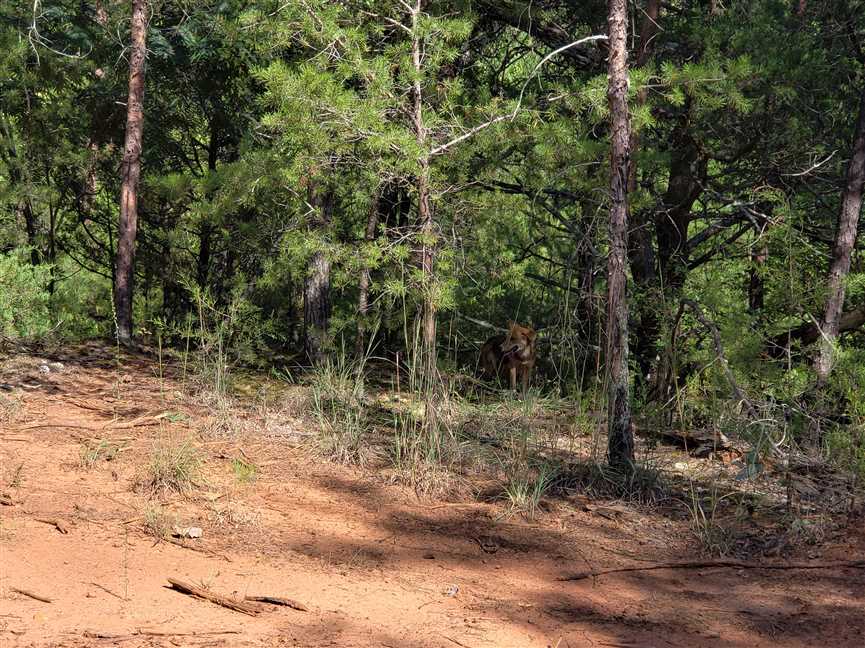 239.27 Acres of Land for sale in york County, South Carolina
