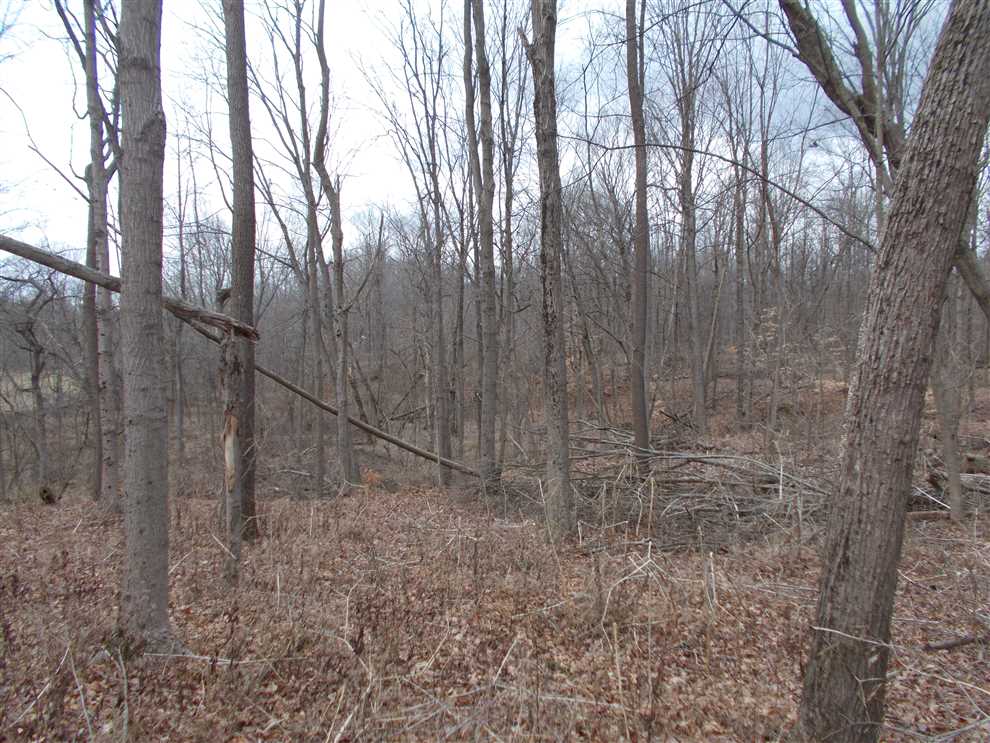 28 Acres of Land for sale in vigo County, Indiana