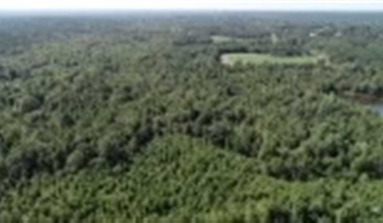 Property for sale at Van Buren Carolina Rd