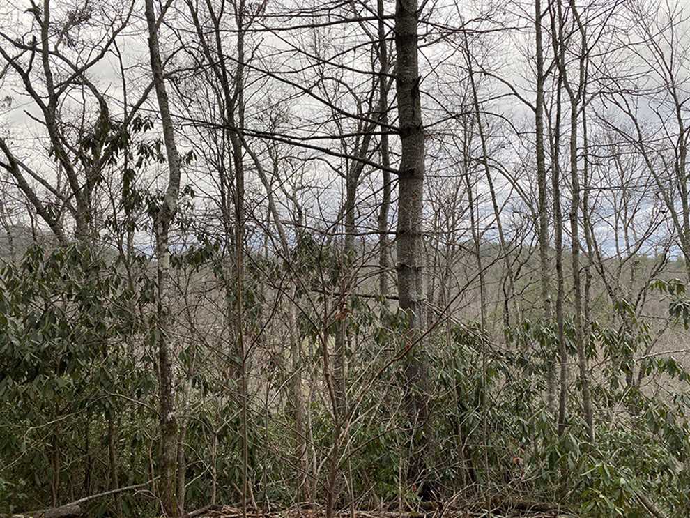 Property for sale at 0 Whippoorwill Dr.