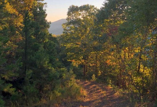 300 Acres of Land for Sale in van buren County Arkansas