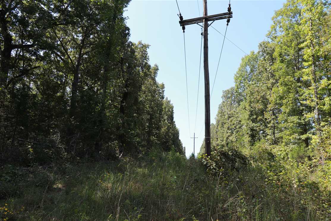 white County, Arkansas property for sale