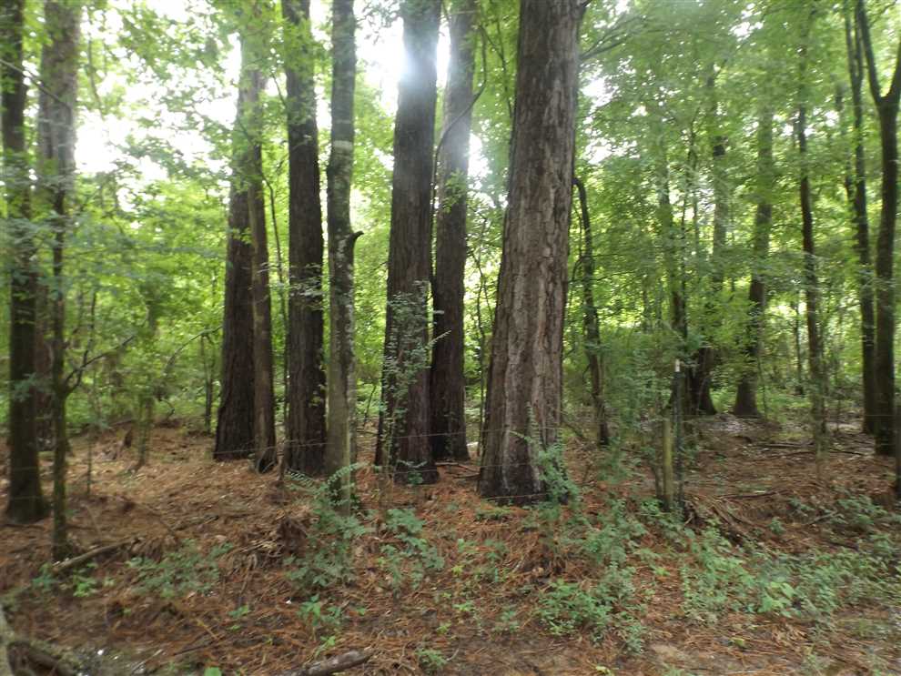 Houses and land for sale in Arkansas