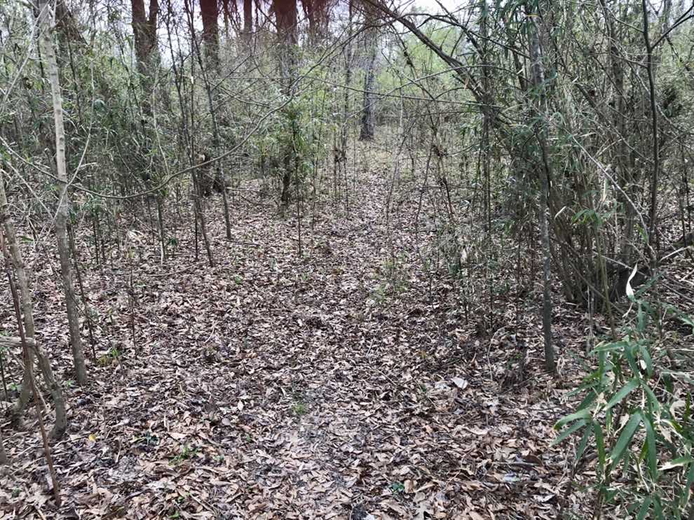 Recreational and   property for sale on The Land Market