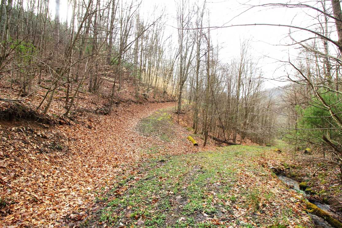 Property for sale at 00 Big Horse Creek Road
