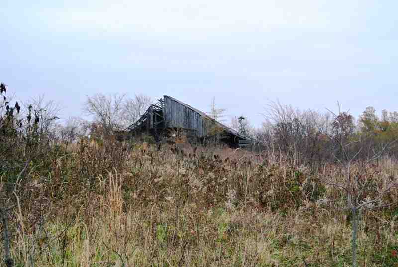 90 acre Mixed use, recreation, agricultural, developmental Farm Land for Sale in Butler County, MO near Poplar Bluff Real estate listing
