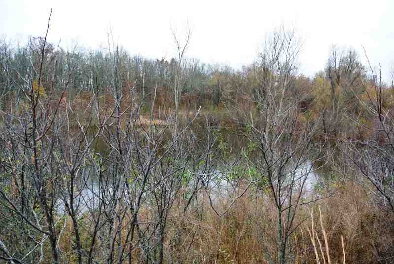 Farmland real estate available to buy