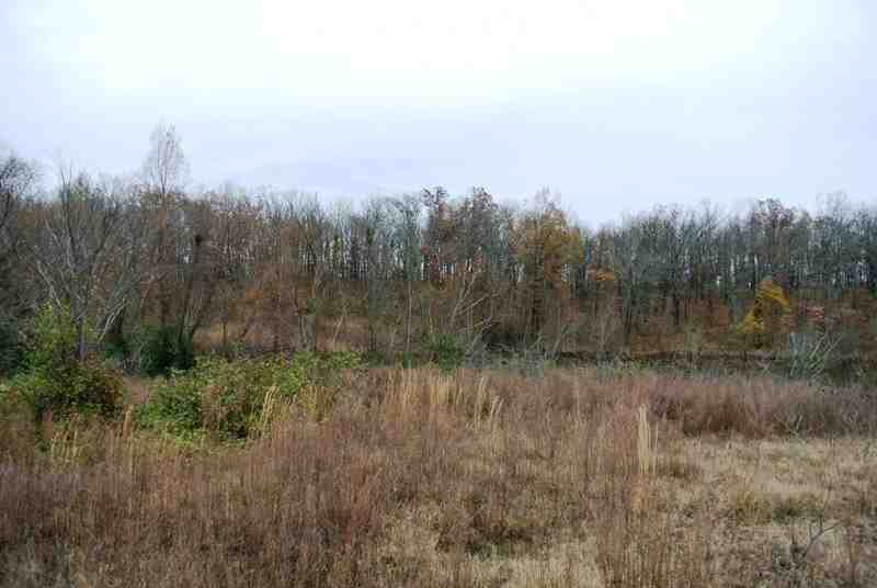 90 Acres of Recreational land for sale in Poplar Bluff, butler County, Missouri