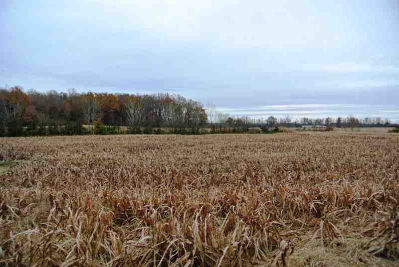 butler County, Missouri property for sale