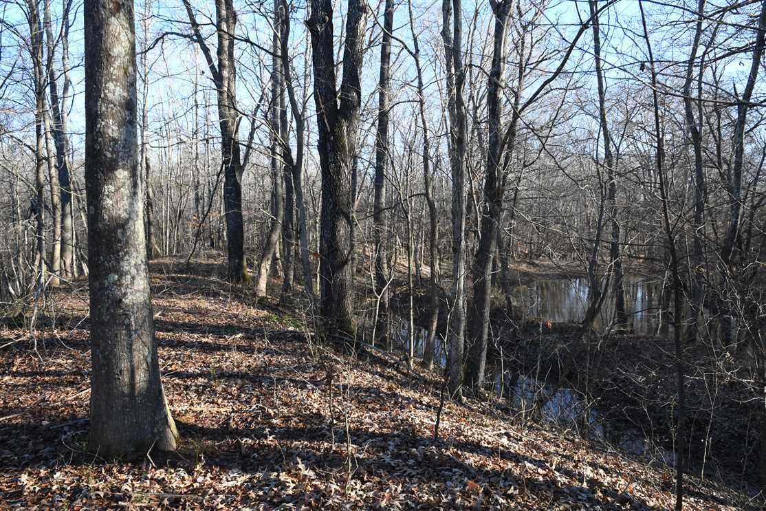 property for sale on The Land Market