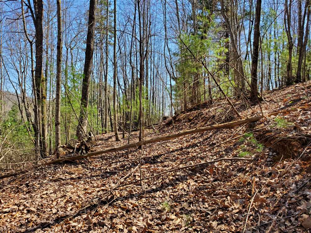10 Acres of Land for sale in caldwell County, North Carolina