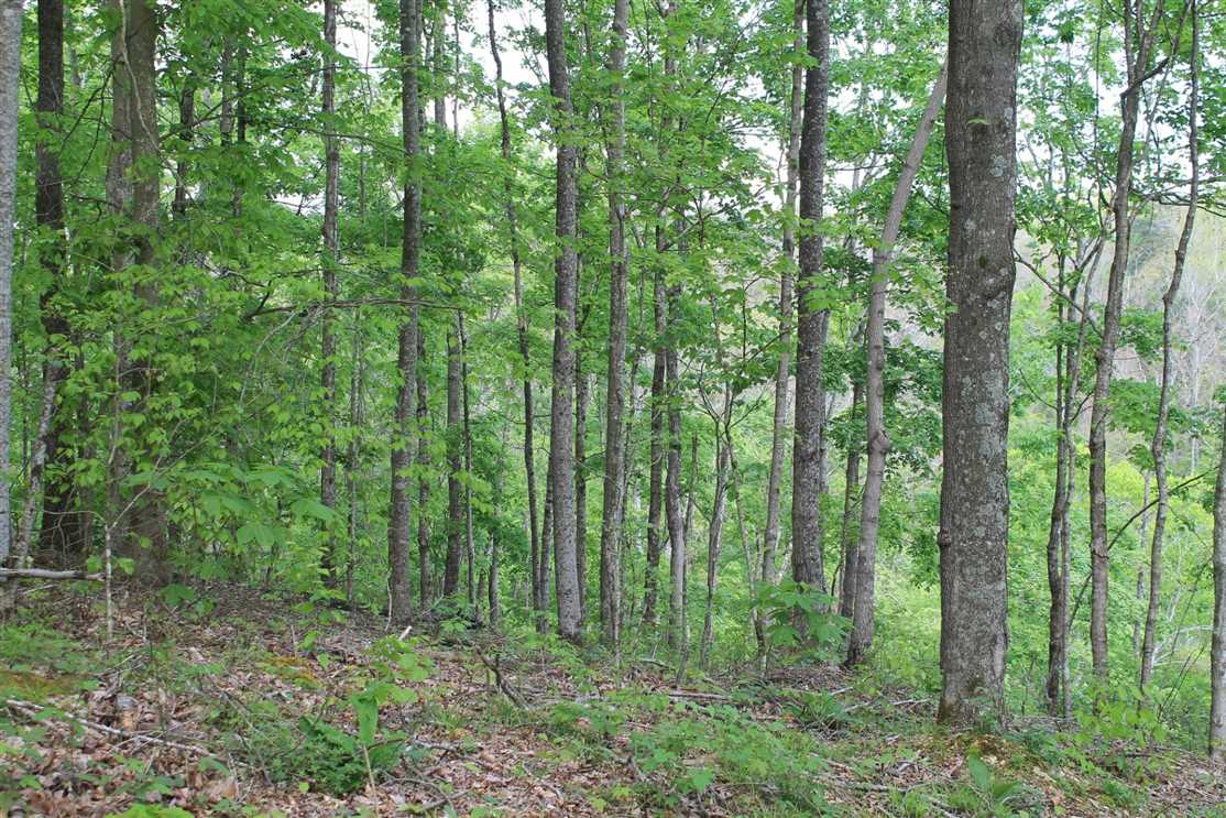 12 Acres of Recreational land for sale in Whitleyville, jackson County, Tennessee