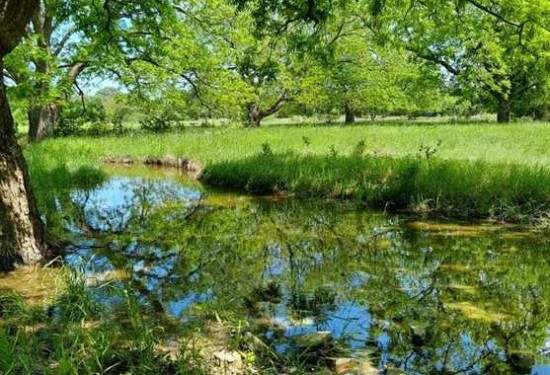 80 Acres of Land for Sale in lampasas County Texas