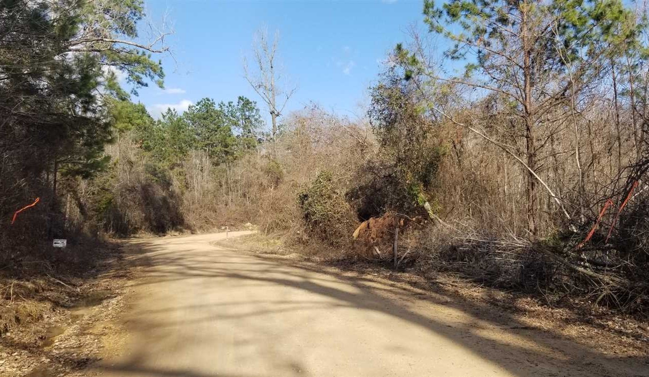 Lonnie's Landing Lucky 13, Grant Parish, 13 Acres +/- Real estate listing