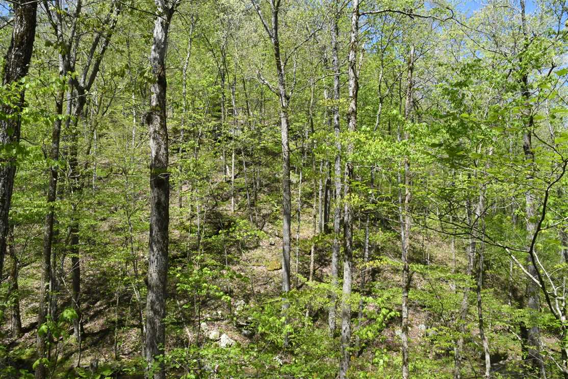 Property for sale at 22210 AR-16