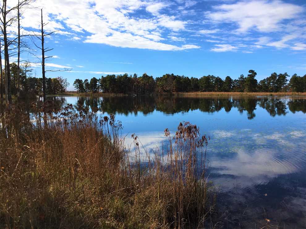 1150 Acres of Farmland land for sale in Clinton, van buren County, Arkansas