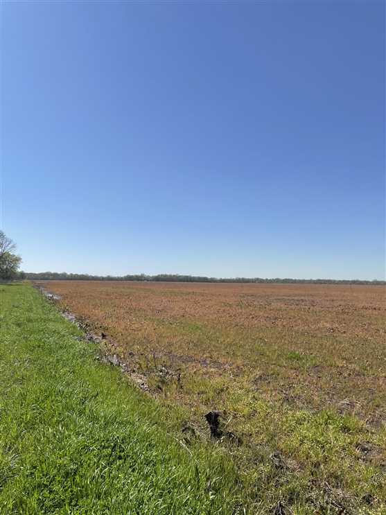 320 Acres of Land for Sale in little river County, Arkansas
