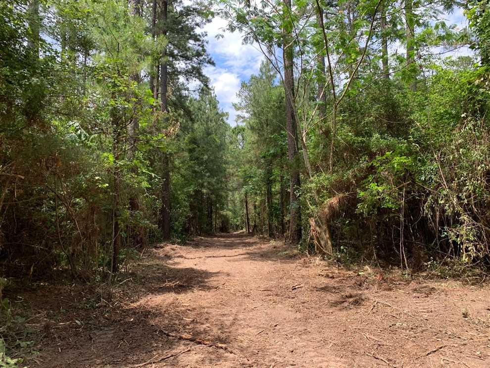 Houses and land for sale in Louisiana
