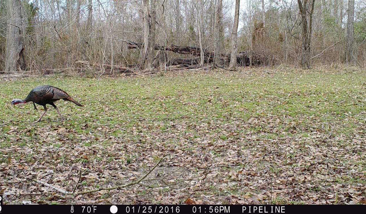 Property for sale at