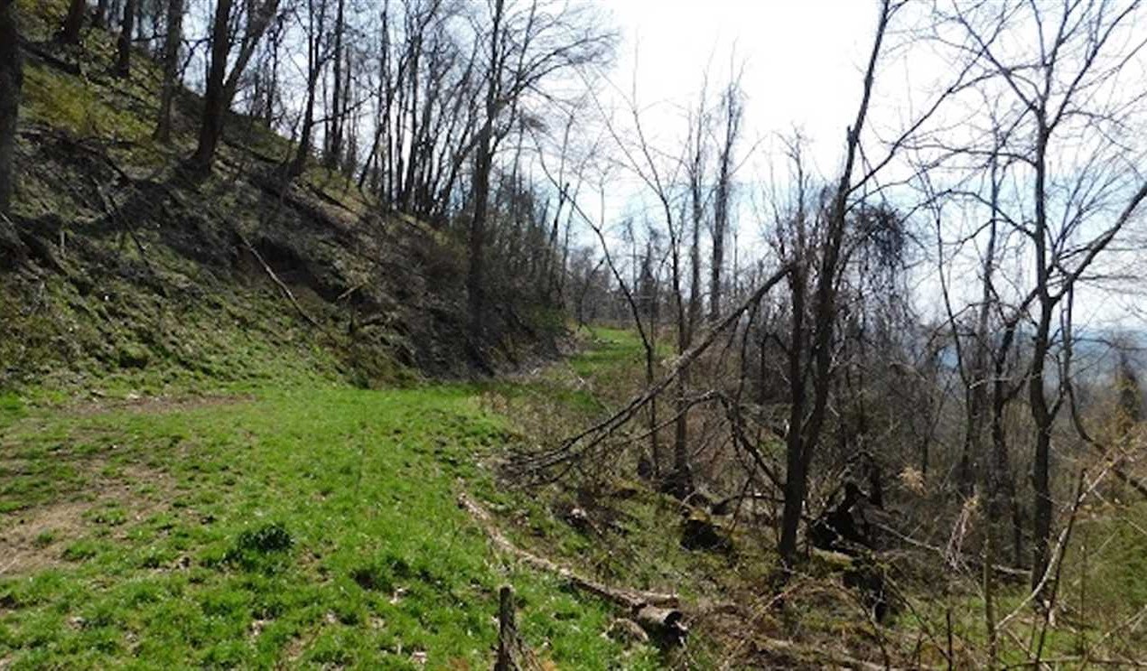Land for sale to buy in 24266 zip code