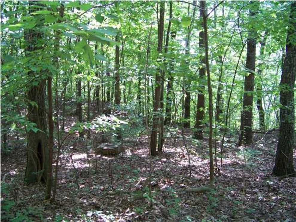 5.00+/-acres with Incredible view and close to Chattanooga Real estate listing