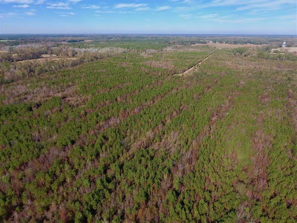 Land for sale to buy in 28523 zip code