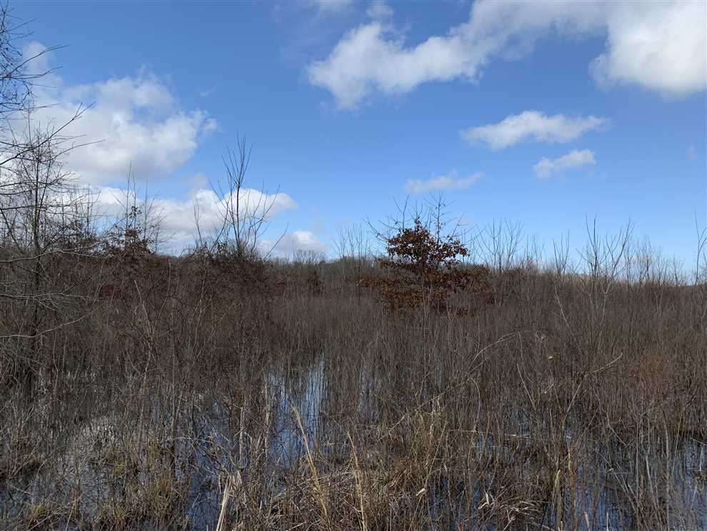 Property for sale at