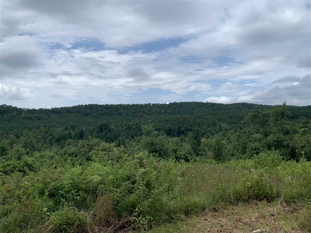 Land for sale to buy in 71913 zip code