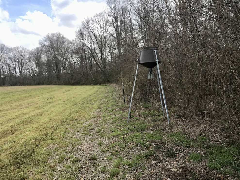 Farmland real estate available to buy