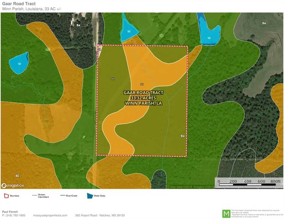 Gaar Road Tract, Winn Parish, 33 Acres +/- Real estate listing