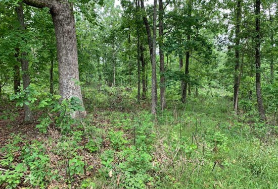 34.56 Acres of Land for Sale in crawford County Missouri