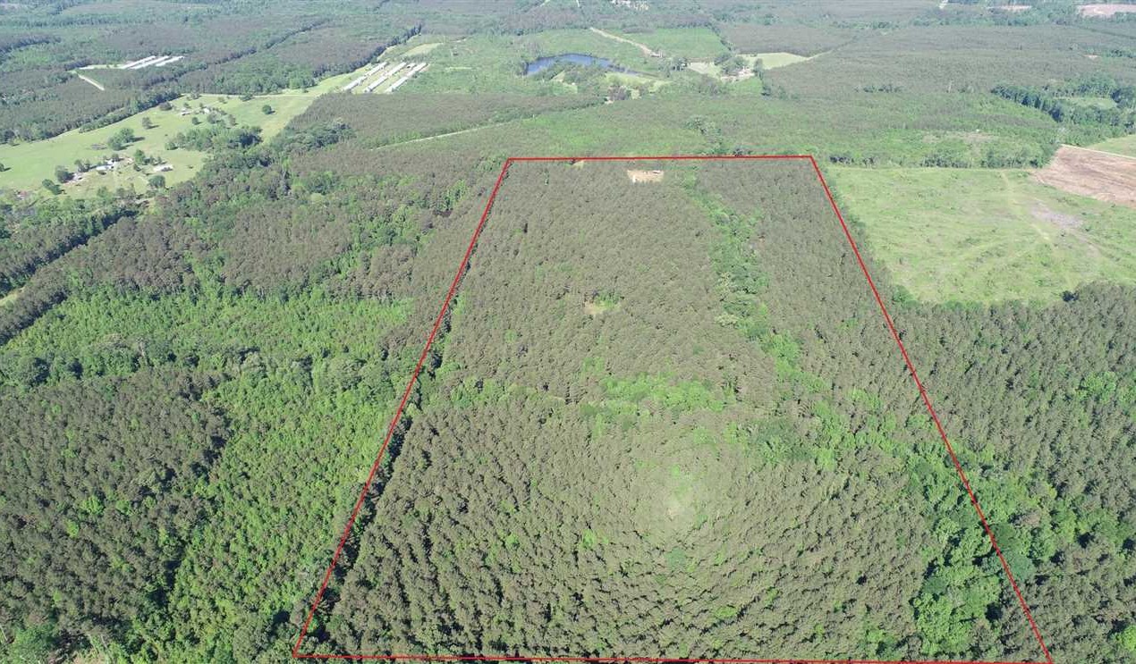 Dubach land available for purchase