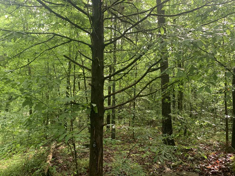 Property for sale at Little Dunham Rd